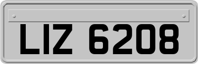 LIZ6208
