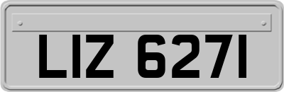 LIZ6271