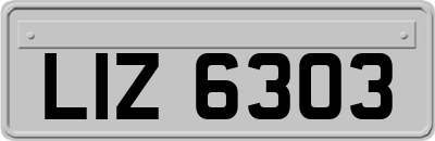 LIZ6303