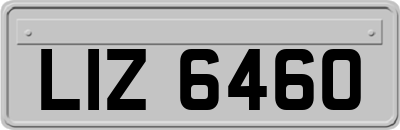 LIZ6460