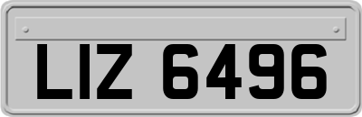 LIZ6496