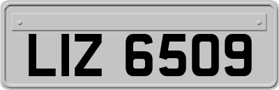 LIZ6509