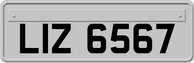 LIZ6567