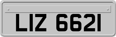 LIZ6621