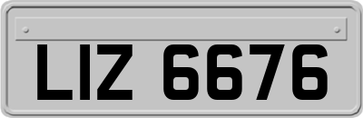 LIZ6676