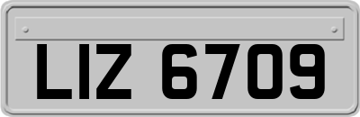 LIZ6709