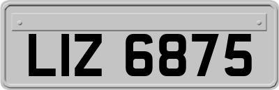 LIZ6875