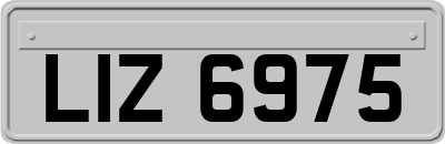 LIZ6975