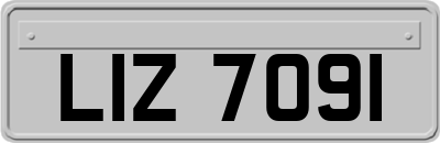 LIZ7091