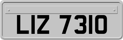 LIZ7310