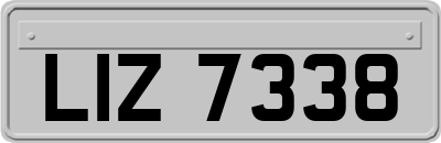 LIZ7338