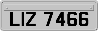 LIZ7466
