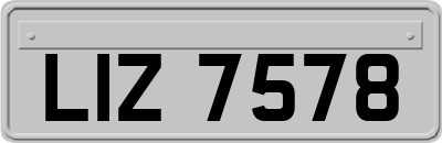LIZ7578