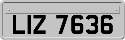 LIZ7636