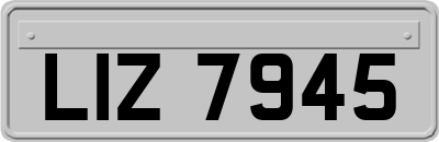 LIZ7945