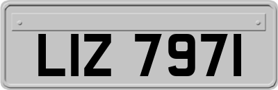 LIZ7971
