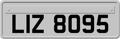 LIZ8095