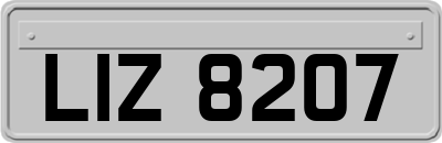 LIZ8207
