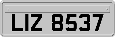 LIZ8537