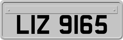 LIZ9165