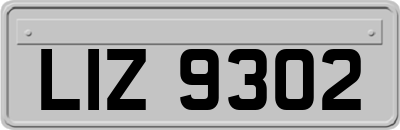 LIZ9302
