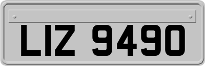 LIZ9490
