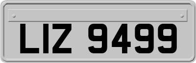 LIZ9499