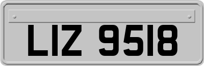 LIZ9518