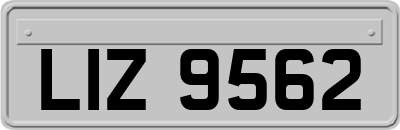 LIZ9562