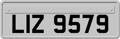 LIZ9579