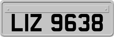 LIZ9638