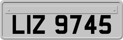 LIZ9745