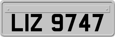 LIZ9747