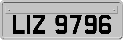 LIZ9796