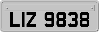LIZ9838