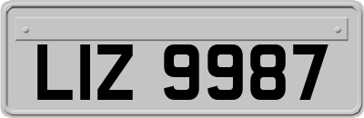 LIZ9987