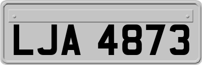 LJA4873