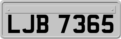 LJB7365