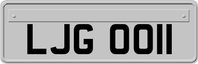 LJG0011