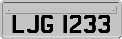 LJG1233