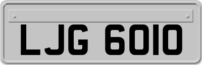 LJG6010
