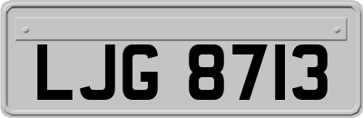 LJG8713