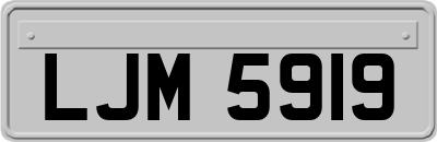 LJM5919