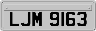LJM9163