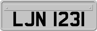 LJN1231