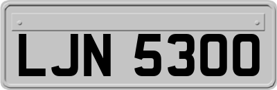 LJN5300