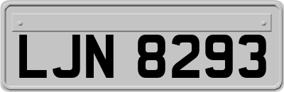 LJN8293