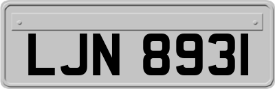 LJN8931