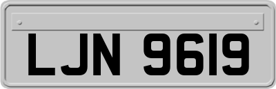 LJN9619