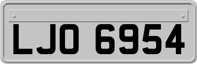 LJO6954